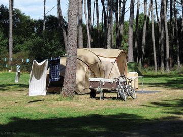 Pitch up among the trees