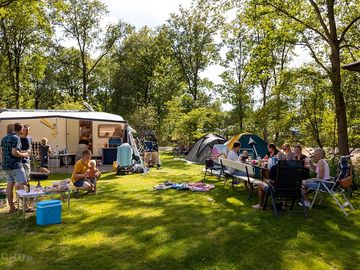 Grass pitches