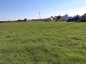 View of field with happy campers