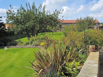 Orchard and gardens outside reception