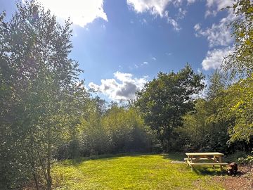 Sheltered woodland pitches