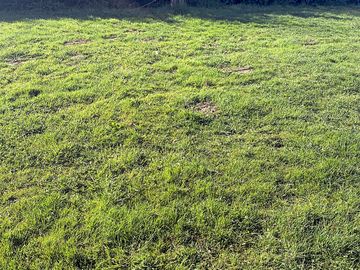 Grass pitches