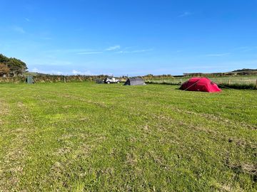 Field