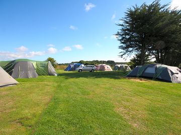 Camping meadow