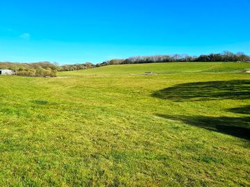 Grassy pitches for tents
