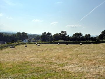 Camping field