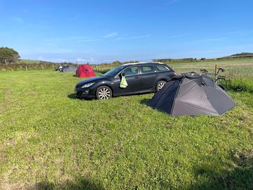 Field