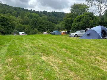 Hill wood view