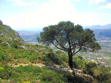 Montgó nature reserve, an impressive mountain lying between denia and javea