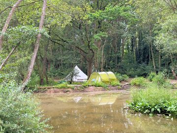 View across the lake to woodland