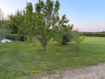 Around the landscaped site