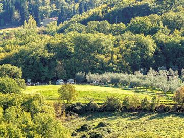 Pitches surrounded by trees