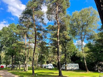 Camping pitches