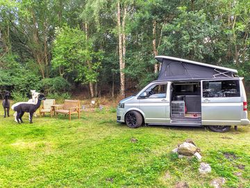 Campervan pitch