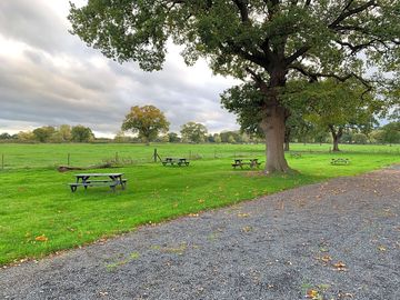 Picnic benches