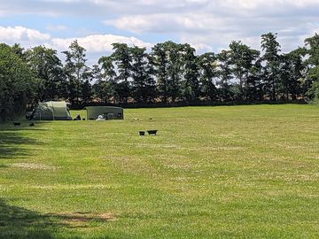 Plenty of space on site