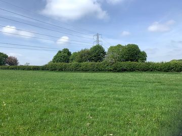 Peaceful grass setting