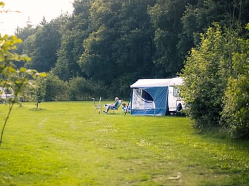 Spacious pitches with forest views