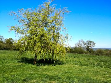 The meadow with access to outdoor electrical points