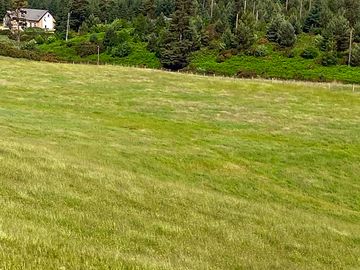 Grass field