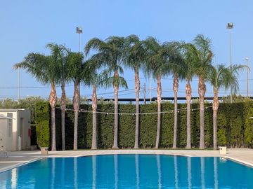 The outdoor pool