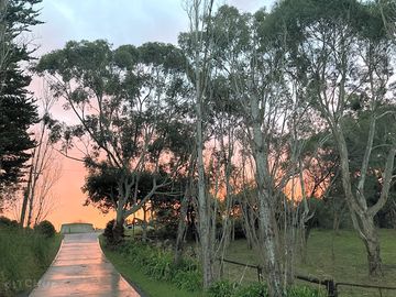 Sunset on the site
