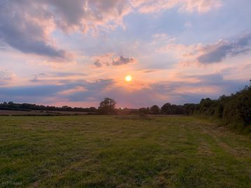 Rushbeds Wood Campsite