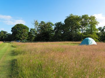 Grass pitches