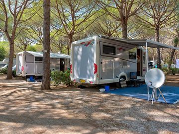 Motorhome pitches under the trees