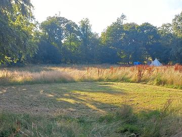 Woodpigeon pitch; part sun, part shade