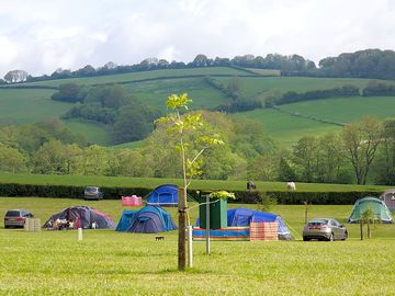 Tent pitches