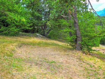 Pitches surrounded by greenery