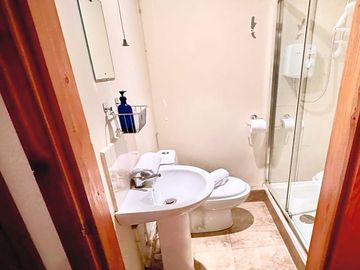 Toilet and shower