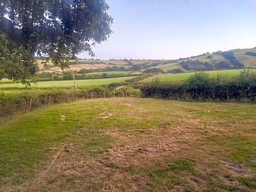 View from the paddock