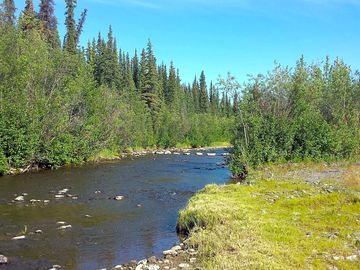 Trout and grayling fishing