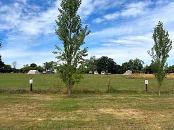 Grass pitches