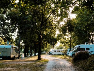 Pitches shaded by trees