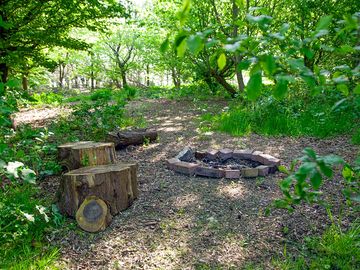 Woodland pitch with firepit