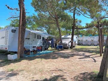 Touring pitches under the trees