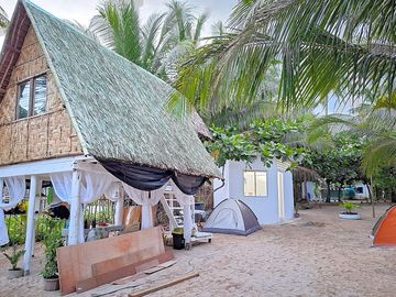 Pitches by the treehouse