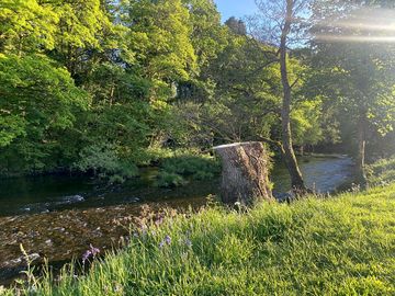 View from riverbank