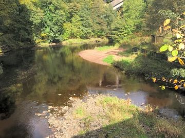 On the banks of the ayr river