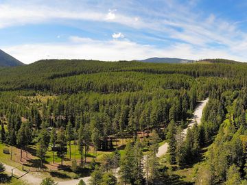 View over the surrounding forest