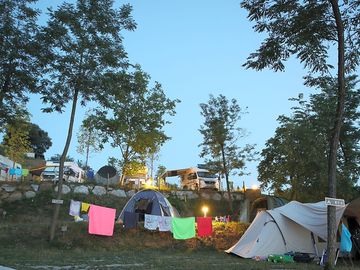 The site