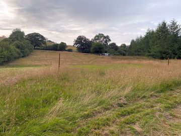 Camping field