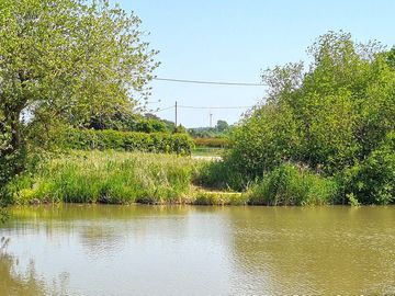 Fishing pegs on the Grand Union Canal