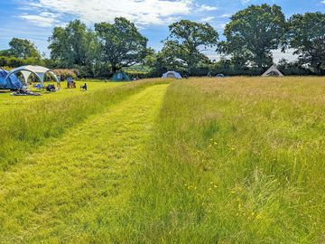 Visitor image of the meadow in early June