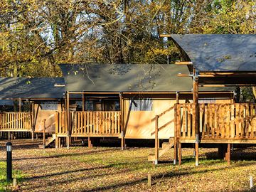 Safari Tents