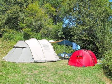 Tent pitch sheltered by trees