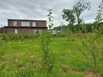 Greenery around the site